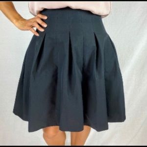 Club Monaco Pleated A Lined Flare Skirt in EUC
